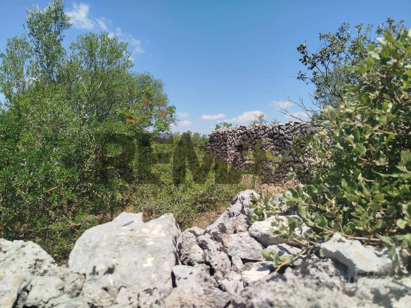 Terreno - Noto - Altro