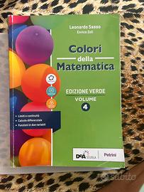 Colori della Matematica Volume 4 Leonardo Sasso