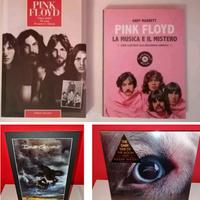 Libri Pink Floyd litografia David Gilmour  