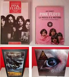 Libri Pink Floyd litografia David Gilmour  