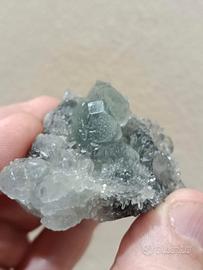 Cubo fantasma cristallizzato Fluorite verde su mat