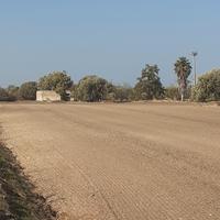 Terreno contrada Bimmisca - Noto (SR)