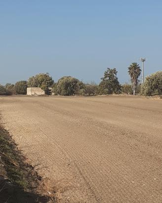 Terreno contrada Bimmisca - Noto (SR)