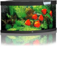 acquario Juwel trigon 350 litri 