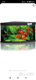 acquario Juwel trigon 350 litri 