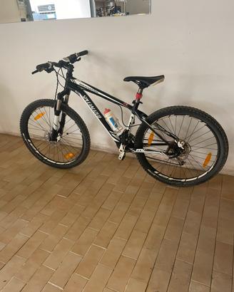 MTB specialaized