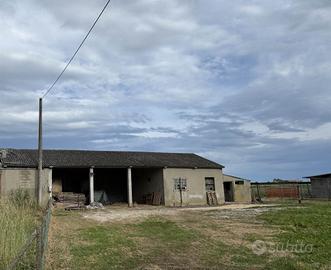 Rif.4039L| magazzino codevigo