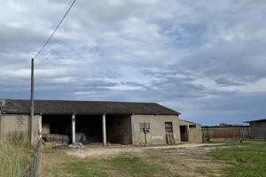 Rif.4039L| magazzino codevigo