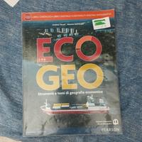 Testo scolastico Eco geo strumenti e temi di geogr