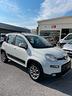 fiat-panda-1-3-mjt-s-s-4x4-neopatentati