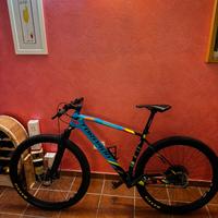 Torpado Ribot X tgl L Carbonio