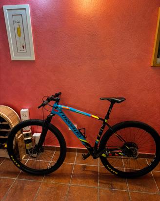 Torpado Ribot X tgl L Carbonio