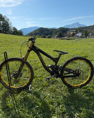 Bici downhill POLYGON  COLLOSUS DHX