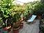Immagine 29