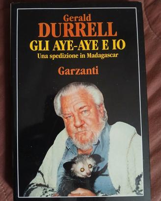 Gli Aye-Aye e Io