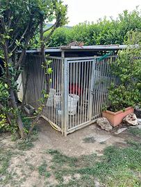 Box doppio per cani