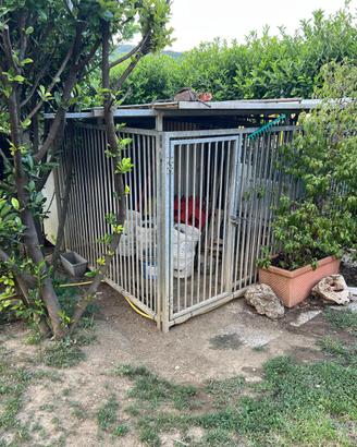 Box doppio per cani