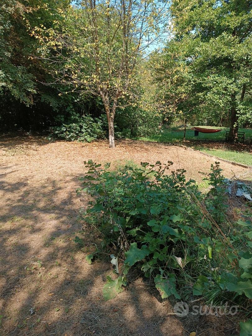 Terreno 1500 metri - Vista 5
