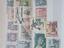 Immagine 6