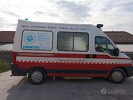 Ambulanza veterinaria