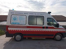 Ambulanza veterinaria