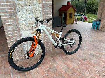 Specialized Stumpjumper custom