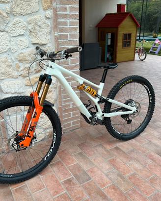 Specialized Stumpjumper custom