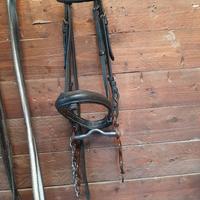 Testiera e morso minorchino