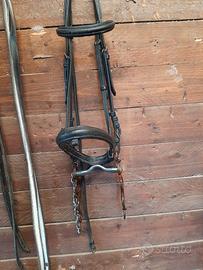 Testiera e morso minorchino