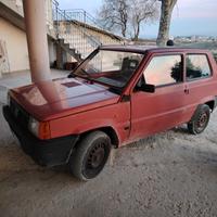 panda 1.1 young iniezione