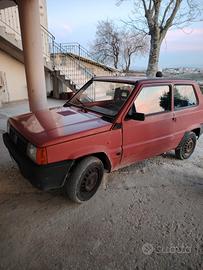 panda 1.1 young iniezione