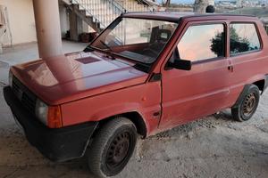 panda 1.1 young iniezione