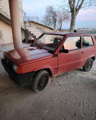 panda 1.1 young iniezione