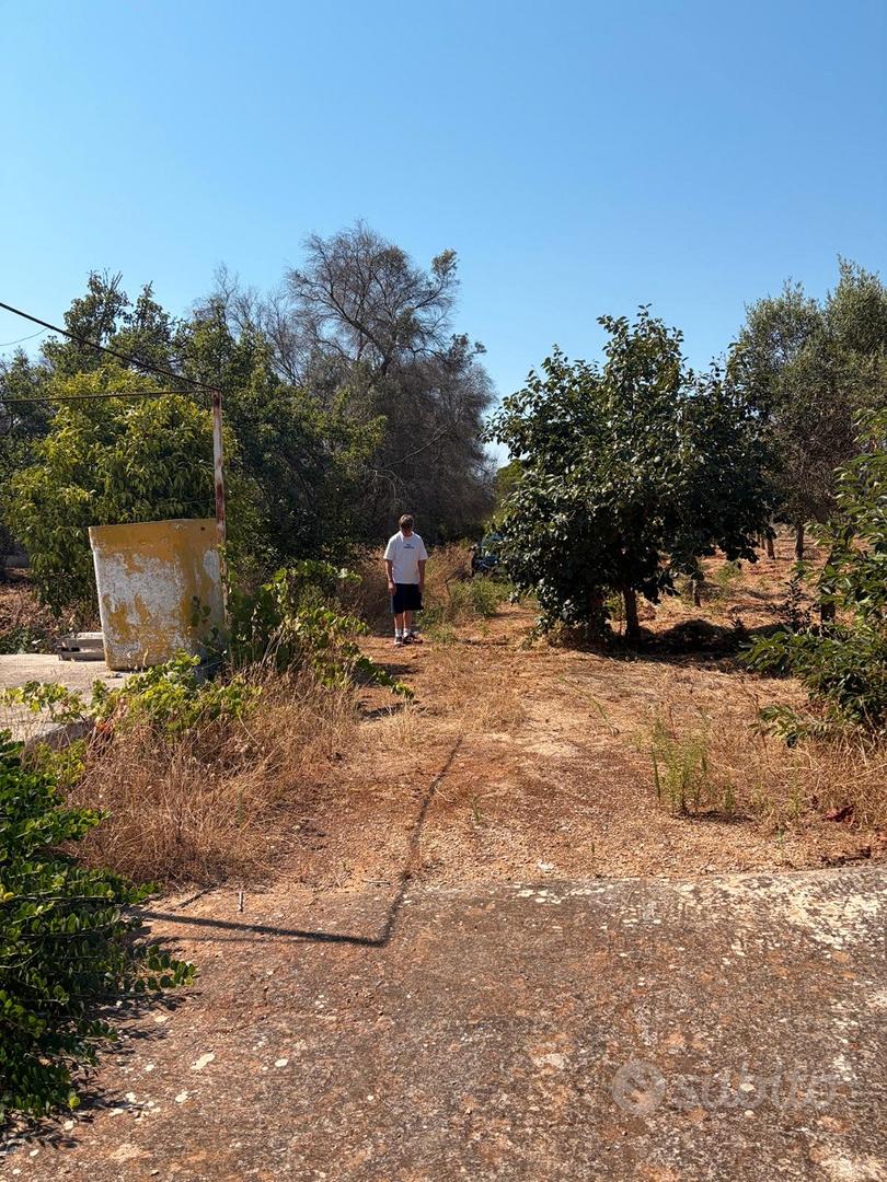 Terreno edificabile con lamia antica - Vista 5