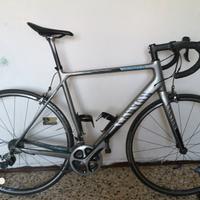 canyon endurace 