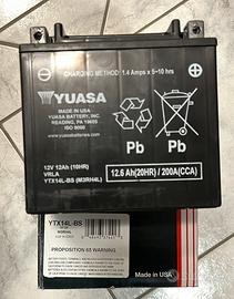 Batteria moto Harley Davidson Yuasa YTX14L-BS