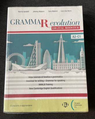 Grammar evolution ISBN 9788853629579