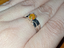 Immagine 4
