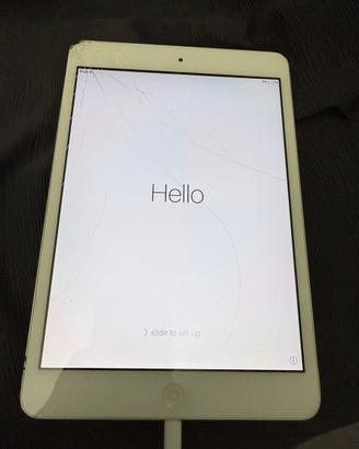 Ipad mini