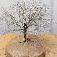 Alberi alberelli in rame legno soprammobili 