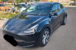 Tesla Model Y Dual motor
