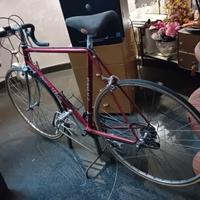 bici da corsa uomo