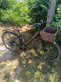 bicicletta a pedalata assistita 