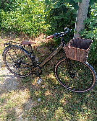 bicicletta a pedalata assistita 