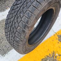 Pneumatico invernale 205 55 R16