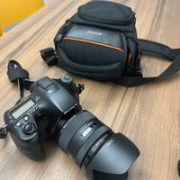 Sony a77 + sony 16/50 f2.8 ssm
