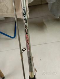 canna spinning trabucco 