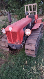 Trattore cingolato toselli 50 CV