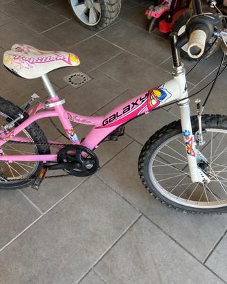 Bicicletta 20