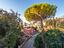 Immagine 22